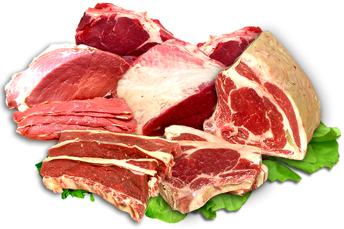 fleisch